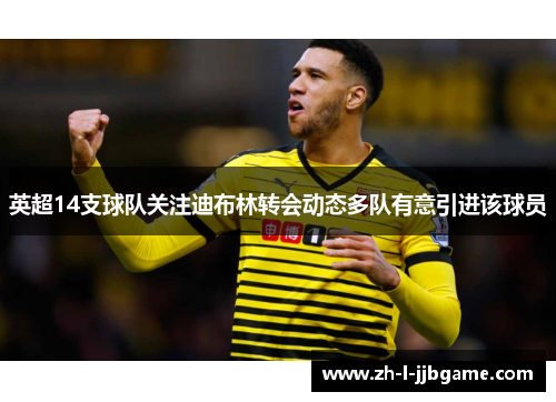 英超14支球队关注迪布林转会动态多队有意引进该球员